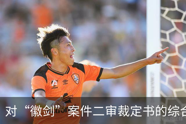 对“徽剑”案件二审裁定书的综合分析